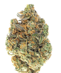 PRE-ROLL - HORSESHOES